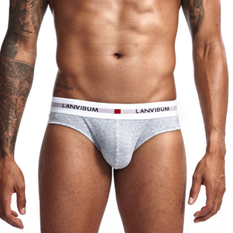 Men Underpants Mens Slip Cueca Male Panties Briefs Breathable Underpants Briefs Underwear Soft Cotton Underpants Briefs Sexy Men