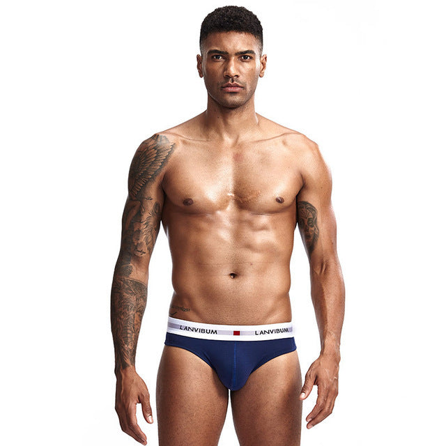 Men Underpants Mens Slip Cueca Male Panties Briefs Breathable Underpants Briefs Underwear Soft Cotton Underpants Briefs Sexy Men
