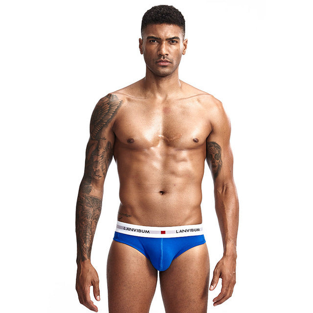Men Underpants Mens Slip Cueca Male Panties Briefs Breathable Underpants Briefs Underwear Soft Cotton Underpants Briefs Sexy Men