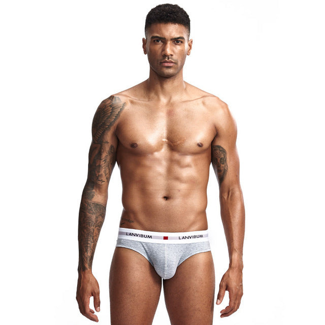 Men Underpants Mens Slip Cueca Male Panties Briefs Breathable Underpants Briefs Underwear Soft Cotton Underpants Briefs Sexy Men