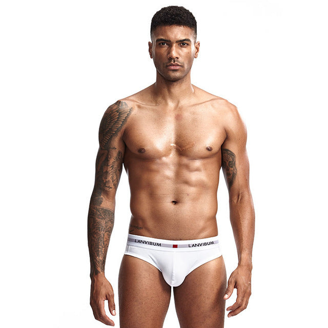 Men Underpants Mens Slip Cueca Male Panties Briefs Breathable Underpants Briefs Underwear Soft Cotton Underpants Briefs Sexy Men