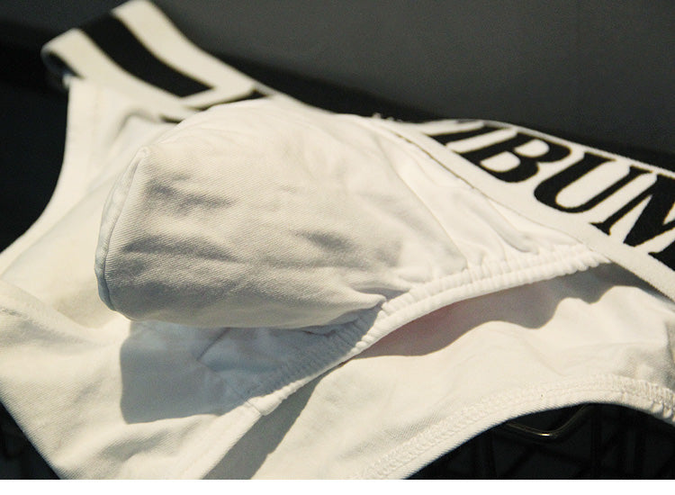 high hip underwear men briefs Pure cotton  men underwear wholesale sexy underwear men mens briefs  ropa interior hombre
