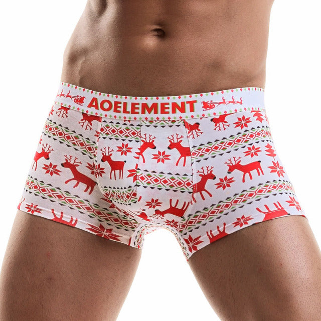 EXILIENS Boxer Men Underwear Mens Boxers Hombre Male Bokserki Modal Calzoncillo Cueca Masculina Boxershorts
