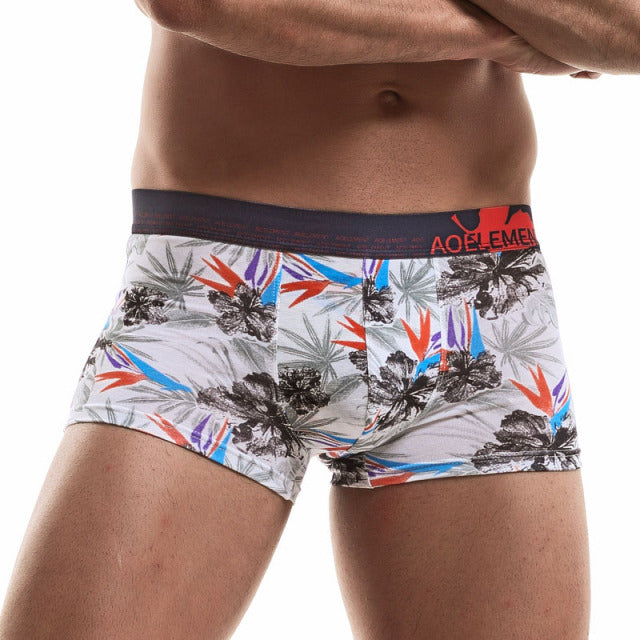 EXILIENS Boxer Men Underwear Mens Boxers Hombre Male Bokserki Modal Calzoncillo Cueca Masculina Boxershorts