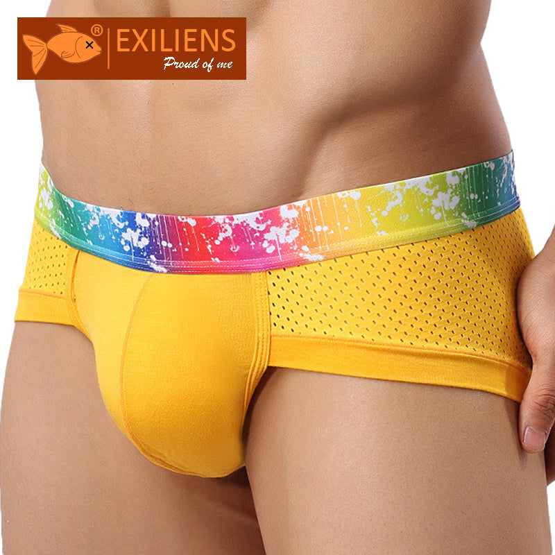 Underwears Men Shorts Briefs Sexy Modal Mesh breathable Male Man Underpants Brand GAY Solid Comfy