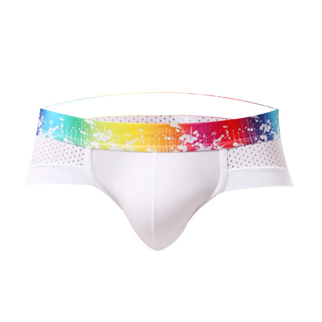 Underwears Men Shorts Briefs Sexy Modal Mesh breathable Male Man Underpants Brand GAY Solid Comfy