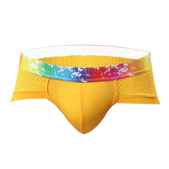 Underwears Men Shorts Briefs Sexy Modal Mesh breathable Male Man Underpants Brand GAY Solid Comfy