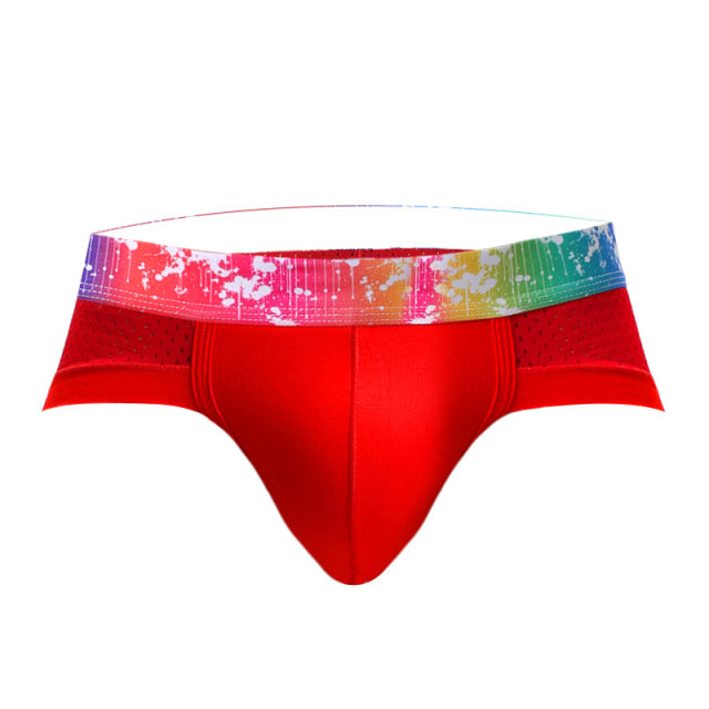 Underwears Men Shorts Briefs Sexy Modal Mesh breathable Male Man Underpants Brand GAY Solid Comfy