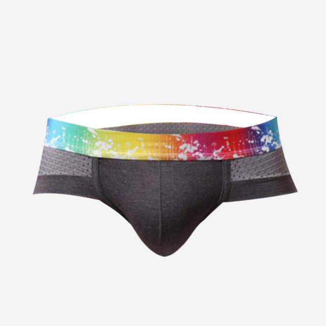 Underwears Men Shorts Briefs Sexy Modal Mesh breathable Male Man Underpants Brand GAY Solid Comfy