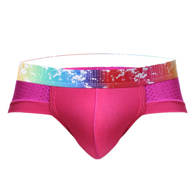 Underwears Men Shorts Briefs Sexy Modal Mesh breathable Male Man Underpants Brand GAY Solid Comfy