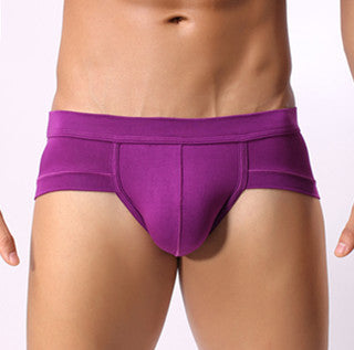 Men Briefs Underwear Men Sexy Briefs Underpants Modal Comfortable Mens Briefs Underwear Shorts Cueca Male Panties Solid