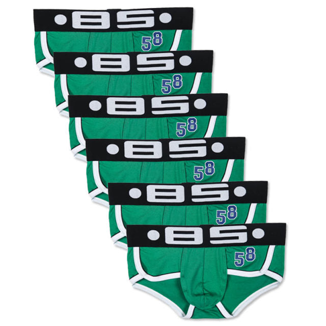 6Pcs/Lot Sexy Lingerie Men Underwear Briefs Cotton Soft Mens Underpants Cueca Male Panties Breathable Slip Briefs Underwear Man