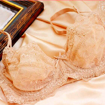 underwear bra set white Black mesh big Plus Size transparent Lace Bra Set push up sexy bra and panty sets