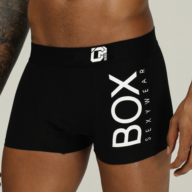 Cotton Boxer Man Underwear men Low waist Men Underpants Boxershorts Men Lingeries