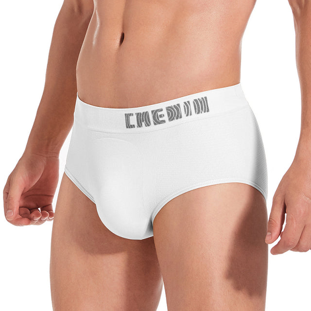CMENIN Sexy Men Underwear Briefs Mesh Breathable Lingerie Man Underpants Bikini Brief Jockstrap Cotton Pouch Panties Gay