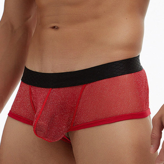 Men Sexy Lingerie Low Rise Underwear Briefs U-Bulge Underpants Soft Fashion Breathless Knickers Panties bikini Gay Underwear men