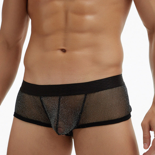 Men Sexy Lingerie Low Rise Underwear Briefs U-Bulge Underpants Soft Fashion Breathless Knickers Panties bikini Gay Underwear men