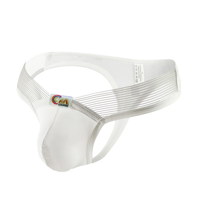 Men Underpants Sexy Underwear T-back Ice Silk Thongs Male Panties G Strings hombre Penis Pouch Briefs Transparent Waistband