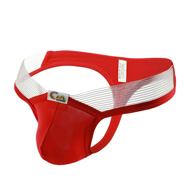 Men Underpants Sexy Underwear T-back Ice Silk Thongs Male Panties G Strings hombre Penis Pouch Briefs Transparent Waistband