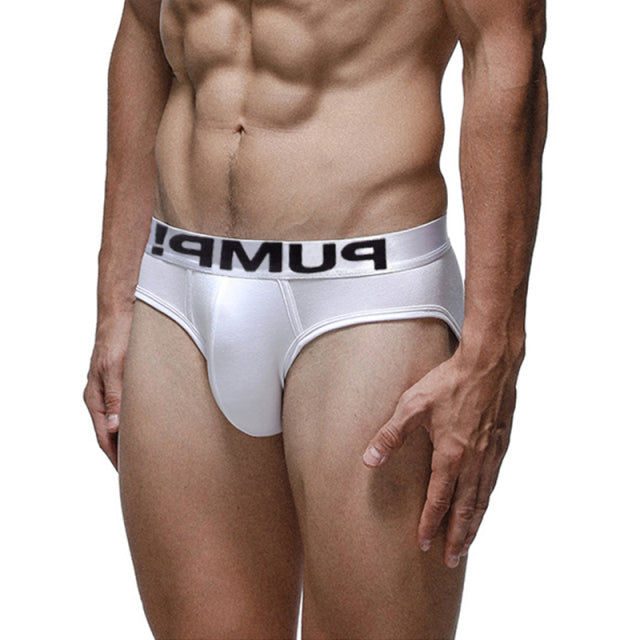 Sexy Man Underwear Men Briefs Underpants Low waist Men Briefs Bikini Gay Underwear Male Underwear Top