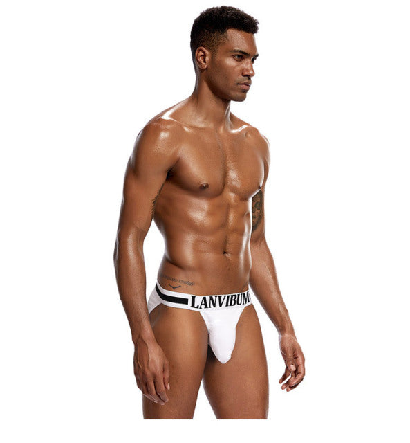 high hip underwear men briefs Pure cotton  men underwear wholesale sexy underwear men mens briefs  ropa interior hombre